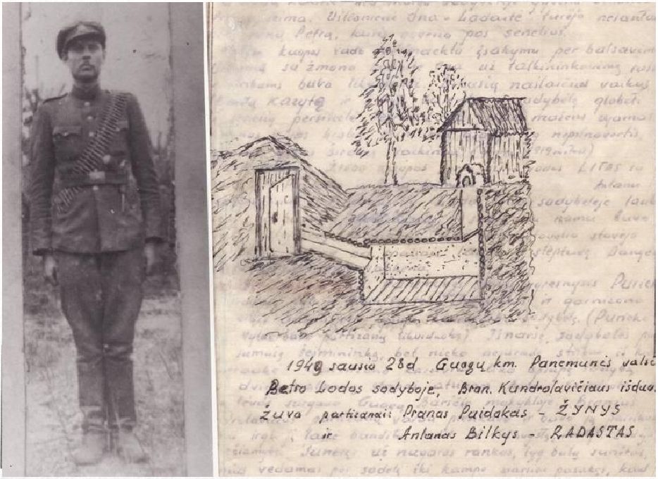 Partizanas Pranas Puidokas-Žynys